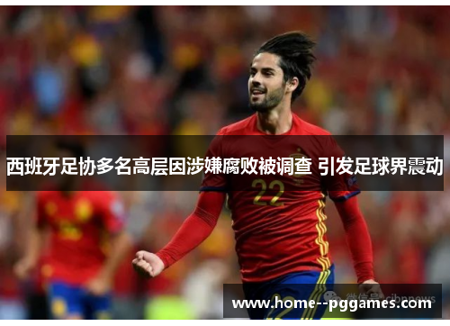 西班牙足协多名高层因涉嫌腐败被调查 引发足球界震动 西班牙足协多名高层因涉嫌腐败被调查 引发足球界震动